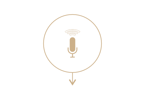 <center>Голосовое управление</center> - Массажное кресло Bodo Grottesk Grey