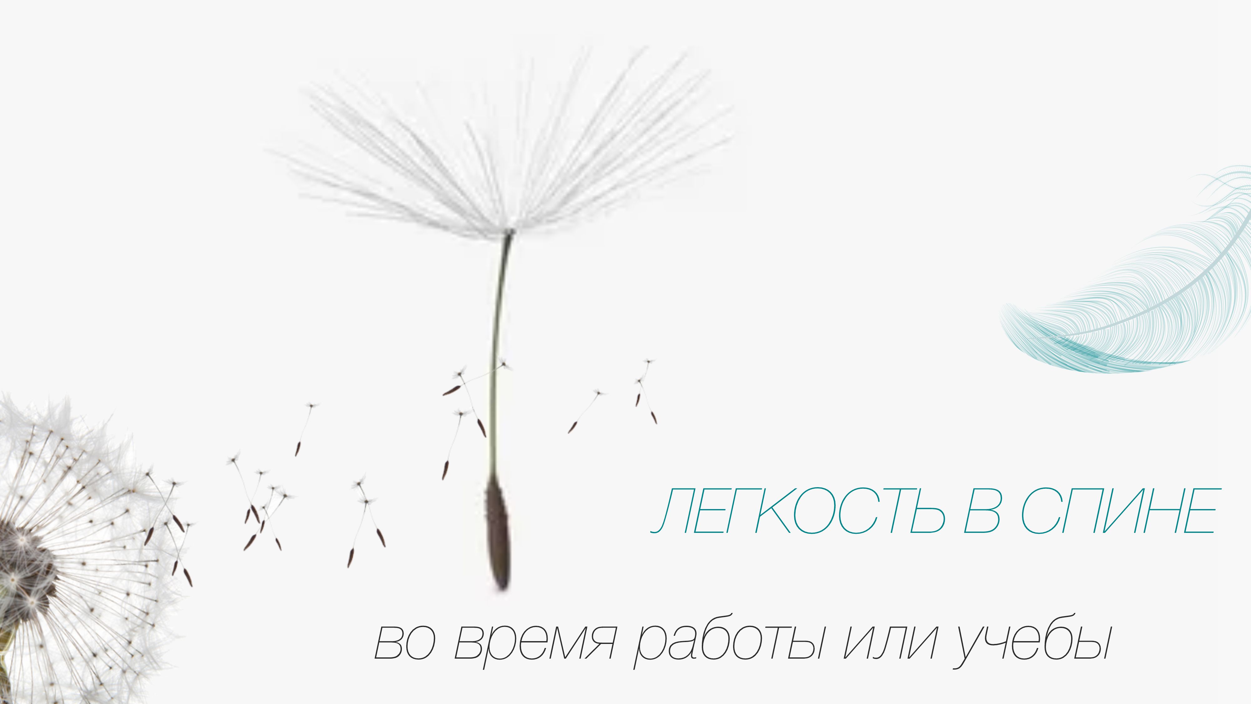 Легкость во всем! - Ортопедический стул Bodo Santis